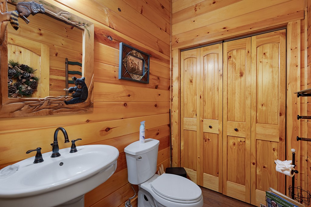 165 Hunter Ridge Ellijay, GA 30540 - Photo 23 of 46