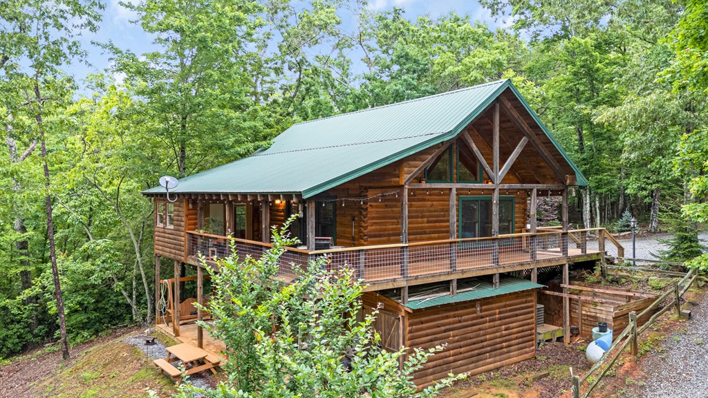 165 Hunter Ridge Ellijay, GA 30540 - Photo 3 of 46