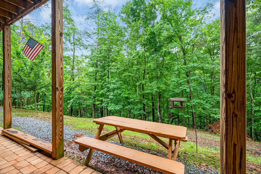 165 Hunter Ridge Ellijay, GA 30540 - Photo 42 of 46