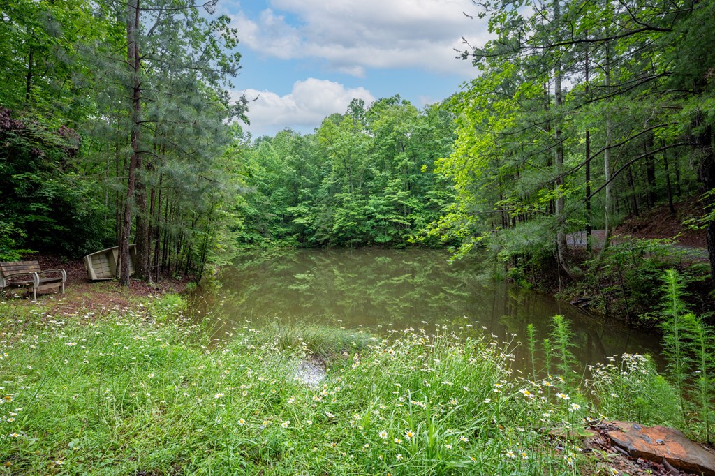 165 Hunter Ridge Ellijay, GA 30540 - Photo 45 of 46