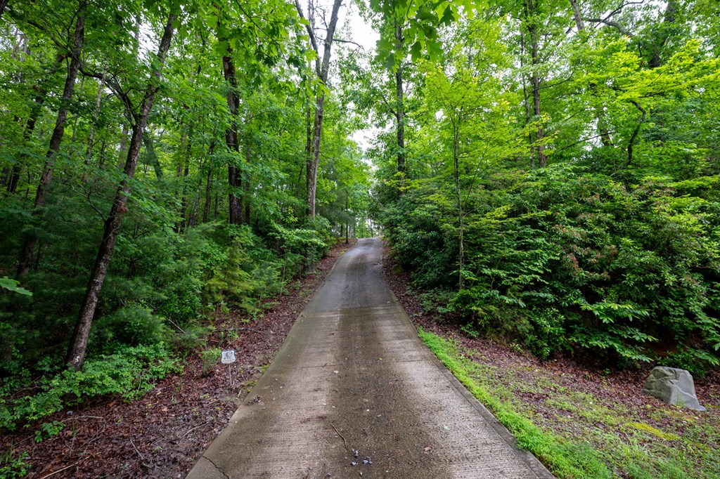 165 Hunter Ridge Ellijay, GA 30540 - Photo 46 of 46