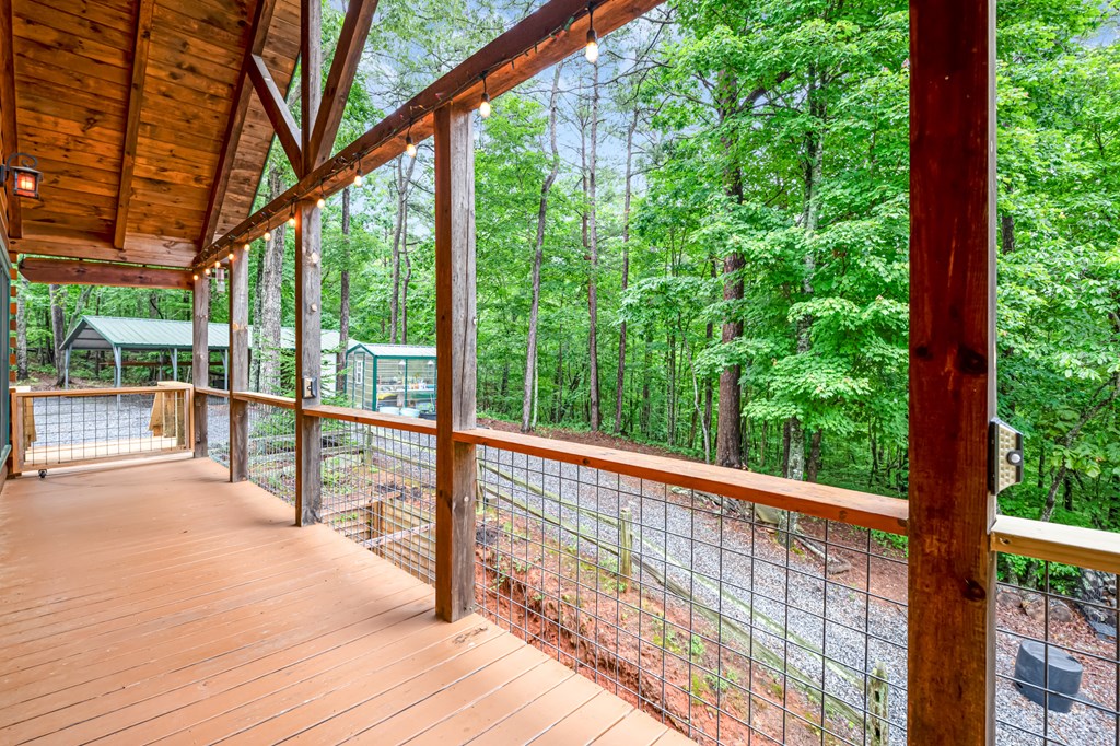 165 Hunter Ridge Ellijay, GA 30540 - Photo 9 of 46