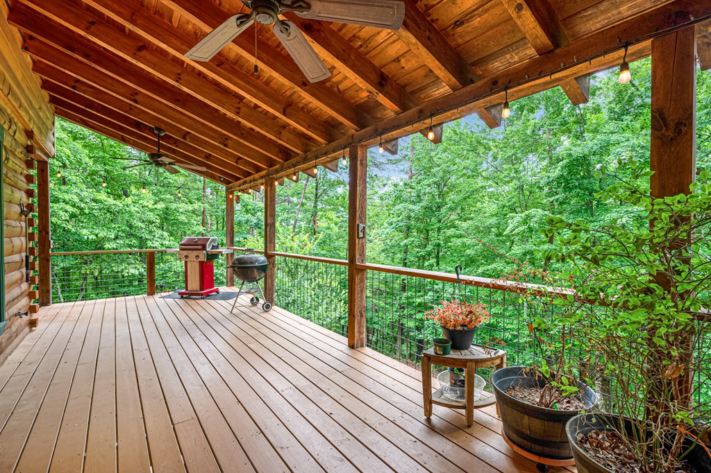 165 Hunter Ridge Ellijay, GA 30540 - Photo 10 of 46