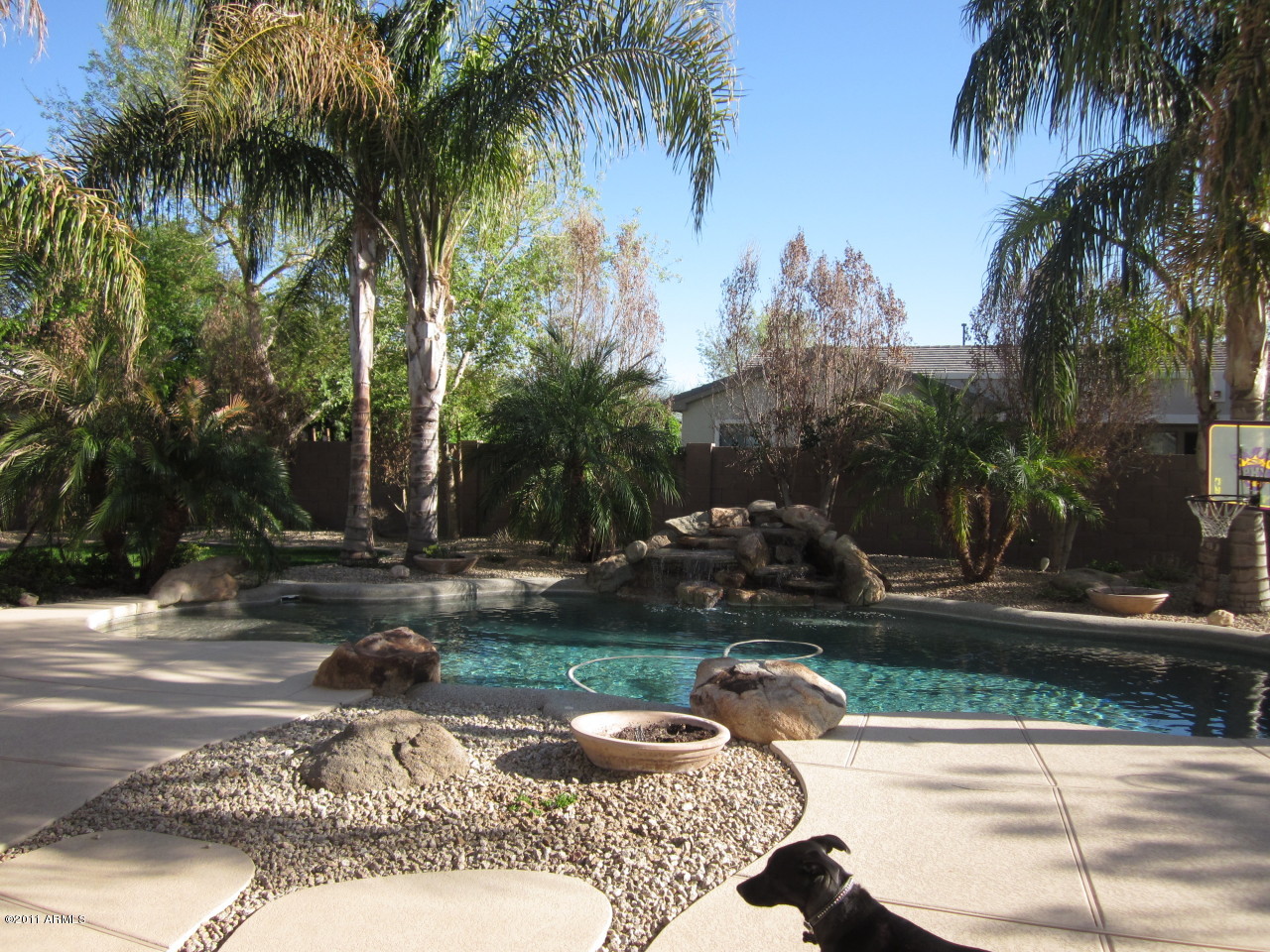 431 East Elgin Street Gilbert, AZ 85295 - Photo 5 of 34 Back Yard