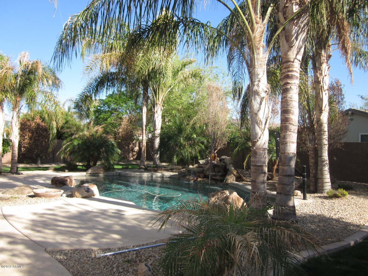 431 East Elgin Street Gilbert, AZ 85295 - Photo 7 of 34 Back Yard