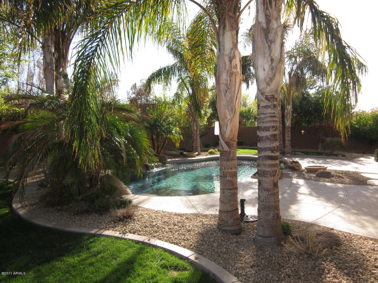 431 East Elgin Street Gilbert, AZ 85295 - Photo 8 of 34 Back Yard