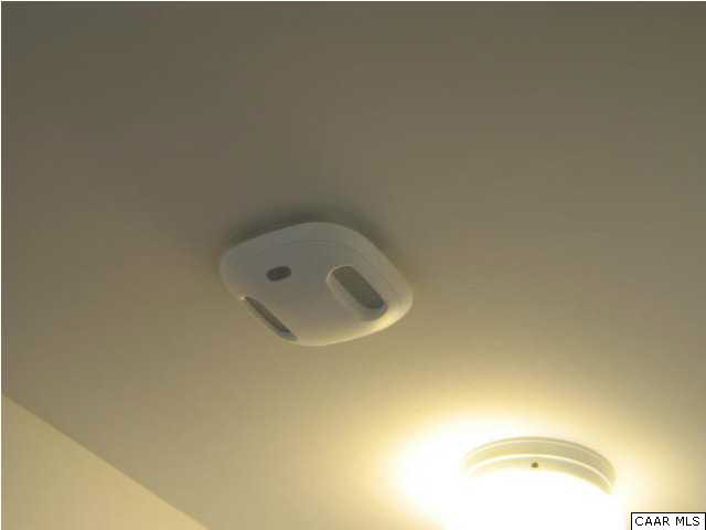 910 Rougemont Avenue Charlottesville, VA 22902 - Photo 20 of 21 Co1 Detector
