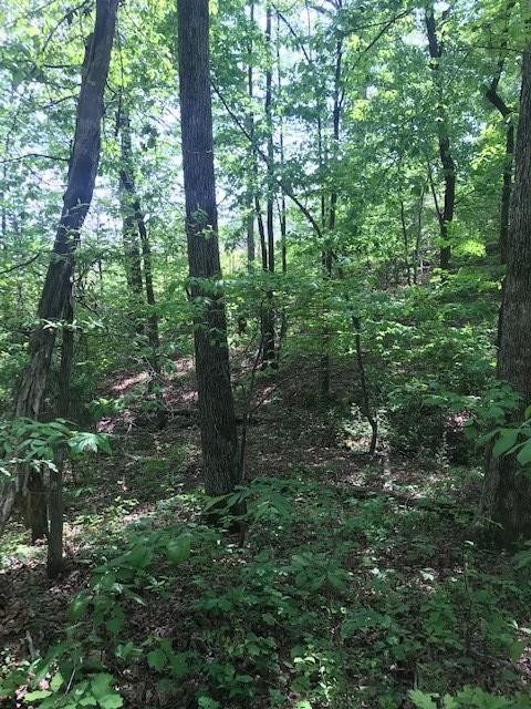 63 County Road 100 Decatur, TN 37322 - Photo 5 of 9