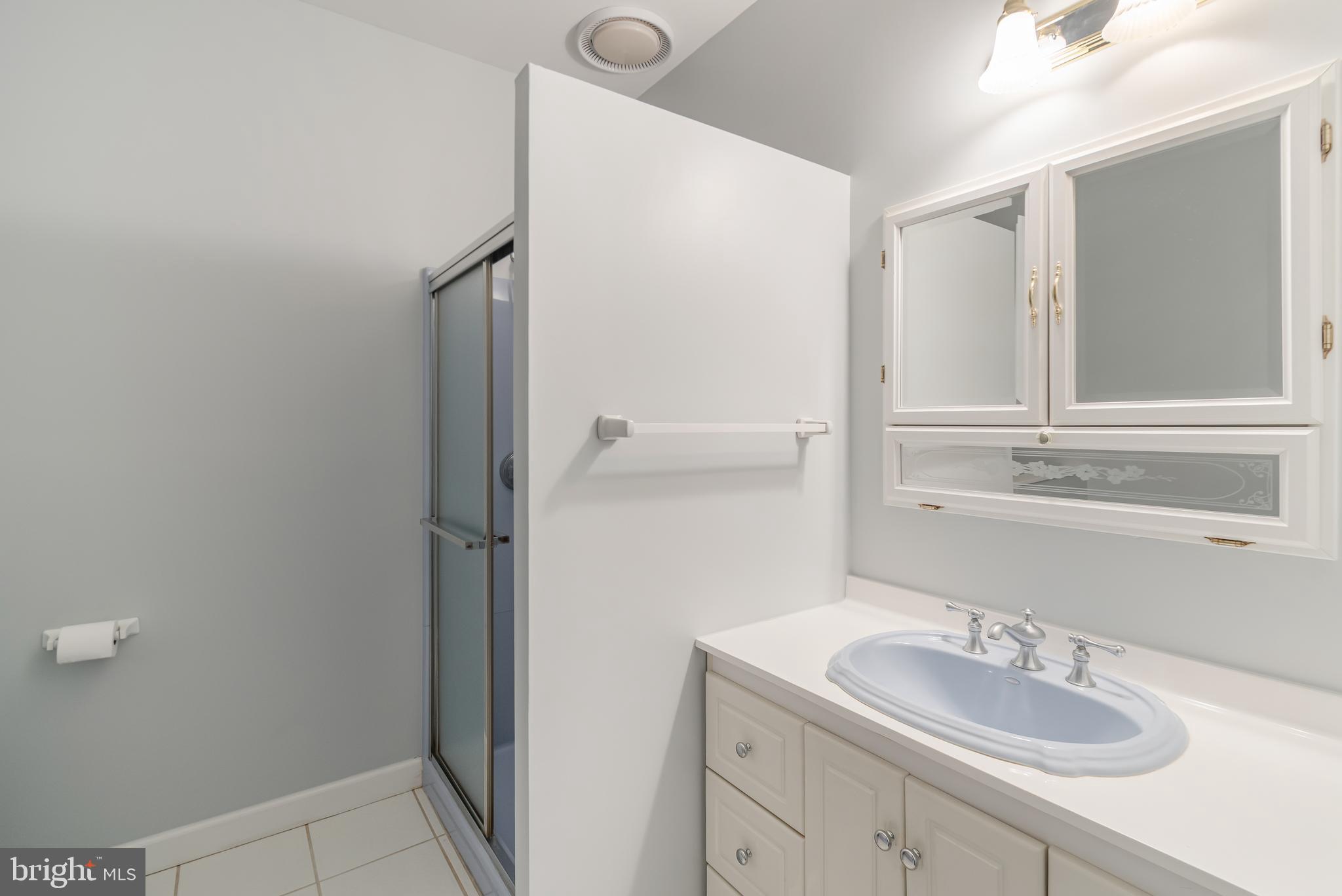 314 Colony Point Place Edgewater, MD 21037 - Photo 12 of 31 a bathroom with a sink and a mirror