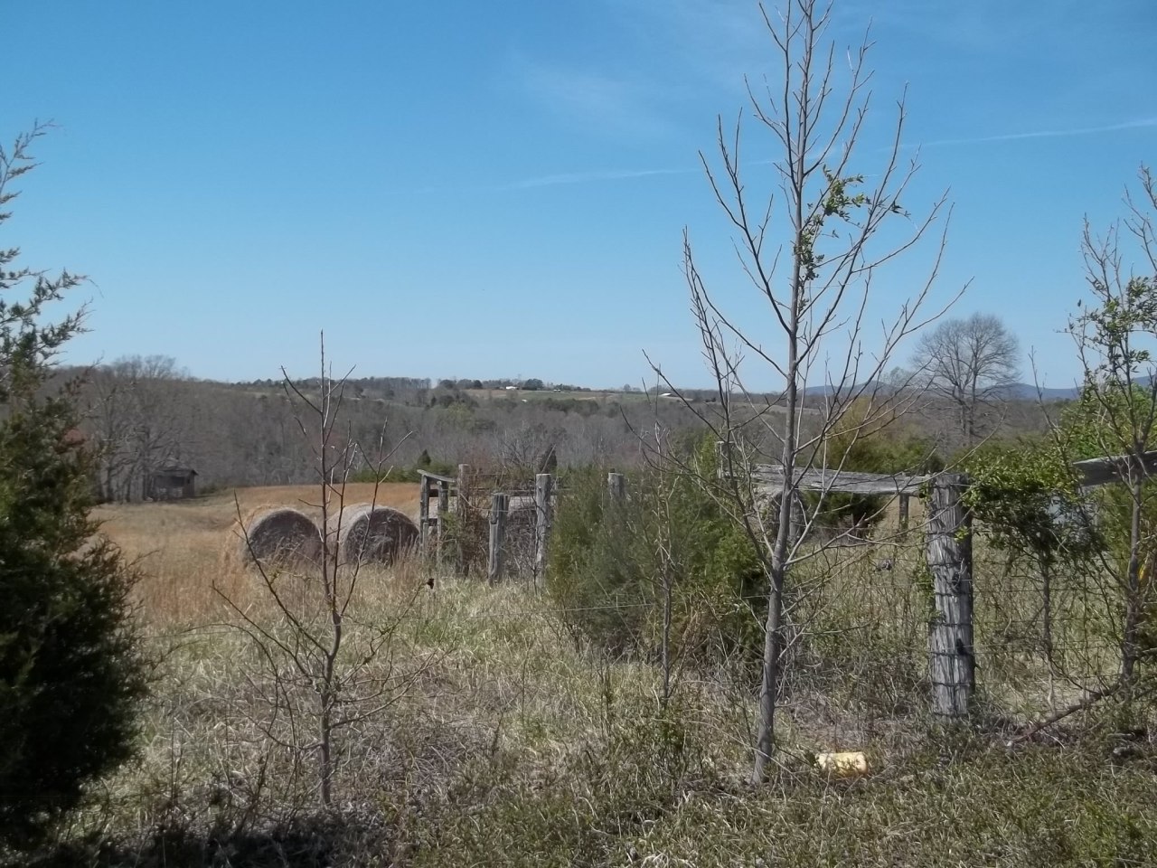 0 Berryville Road Gretna, VA 24557 - Photo 1 of 15 a view of a yard in front of house
