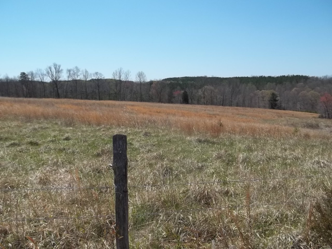 0 Berryville Road Gretna, VA 24557 - Photo 11 of 15 a view of a yard