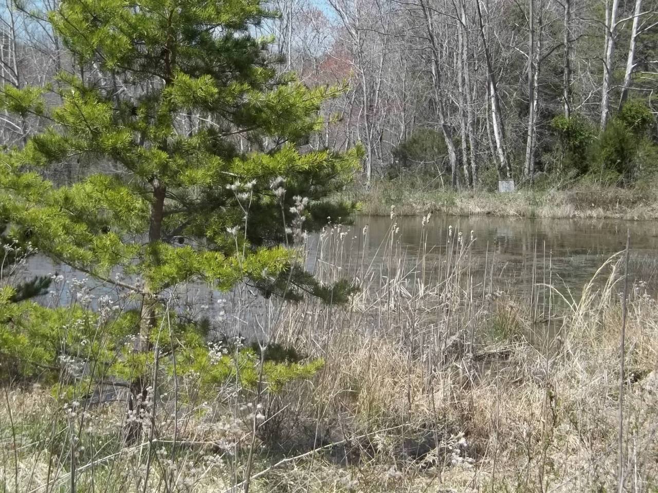 0 Berryville Road Gretna, VA 24557 - Photo 3 of 15 a view of a lake with large trees