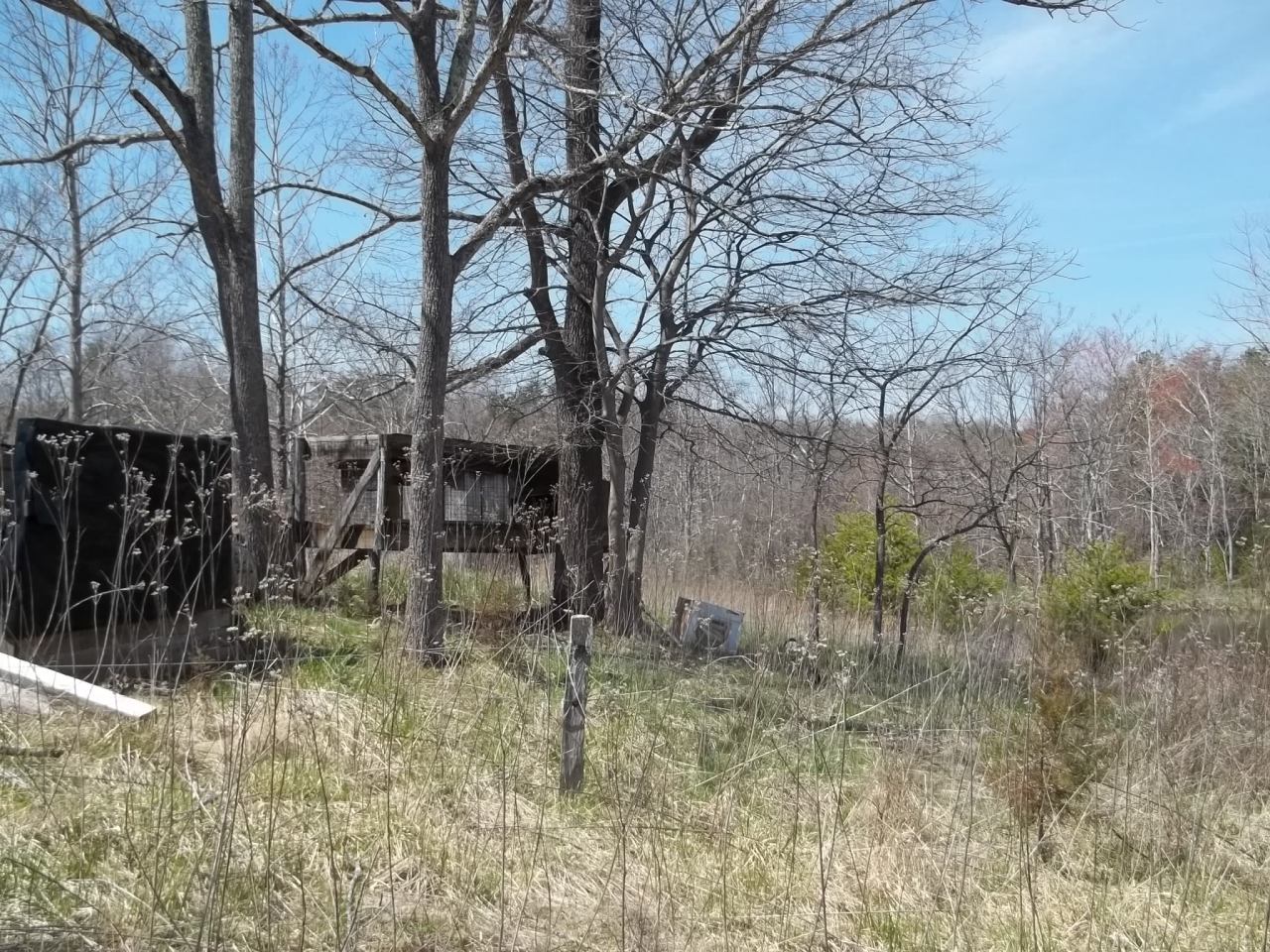 0 Berryville Road Gretna, VA 24557 - Photo 5 of 15 a backyard of a house with lots of green space