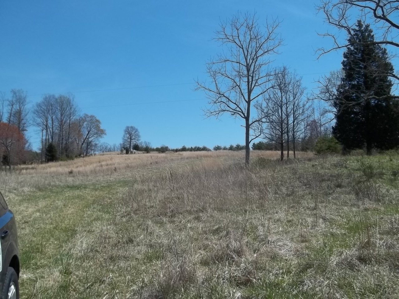0 Berryville Road Gretna, VA 24557 - Photo 7 of 15 a view of a dry yard with trees