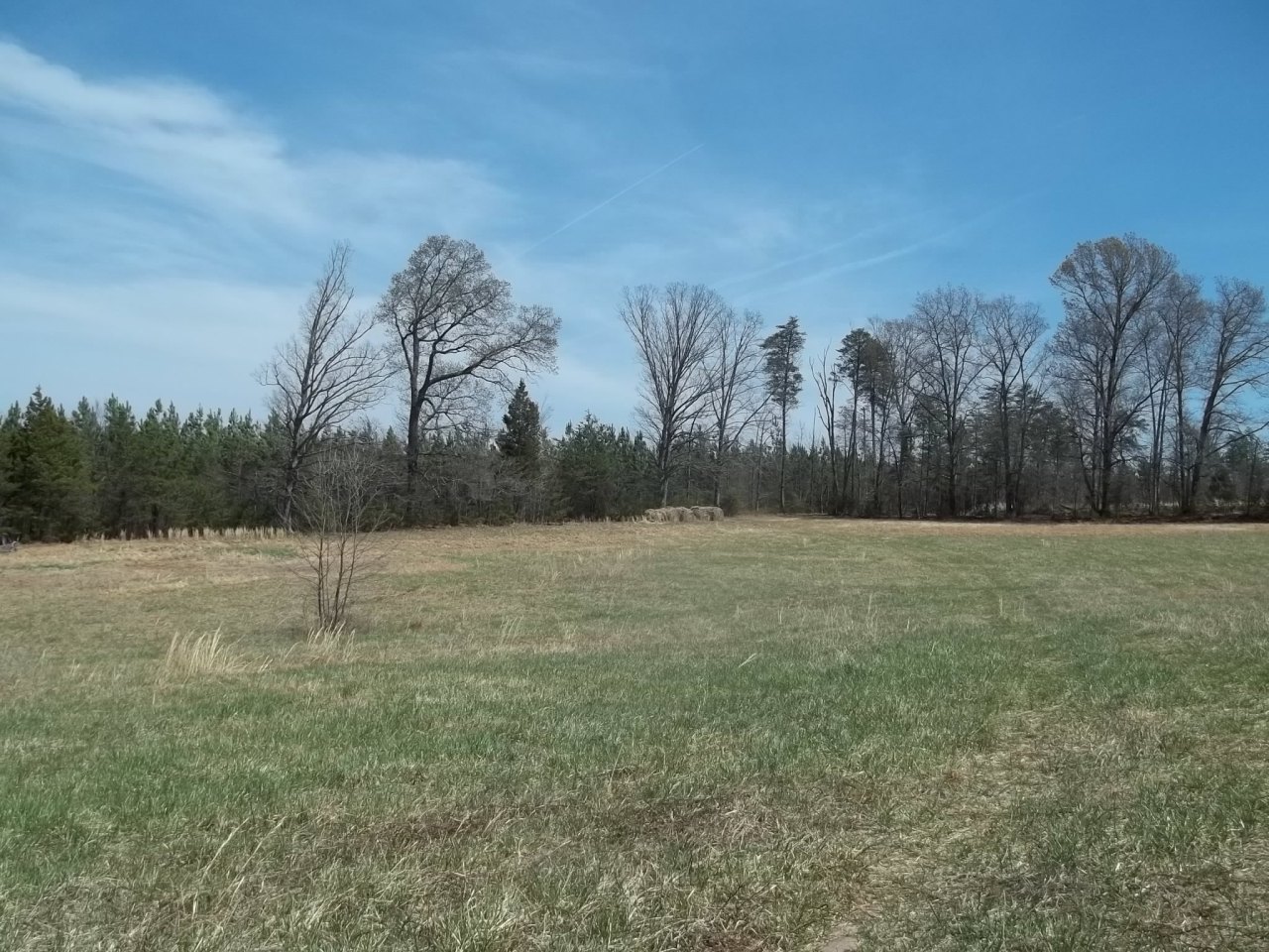 0 Berryville Road Gretna, VA 24557 - Photo 8 of 15 a view of dirt field with trees in background