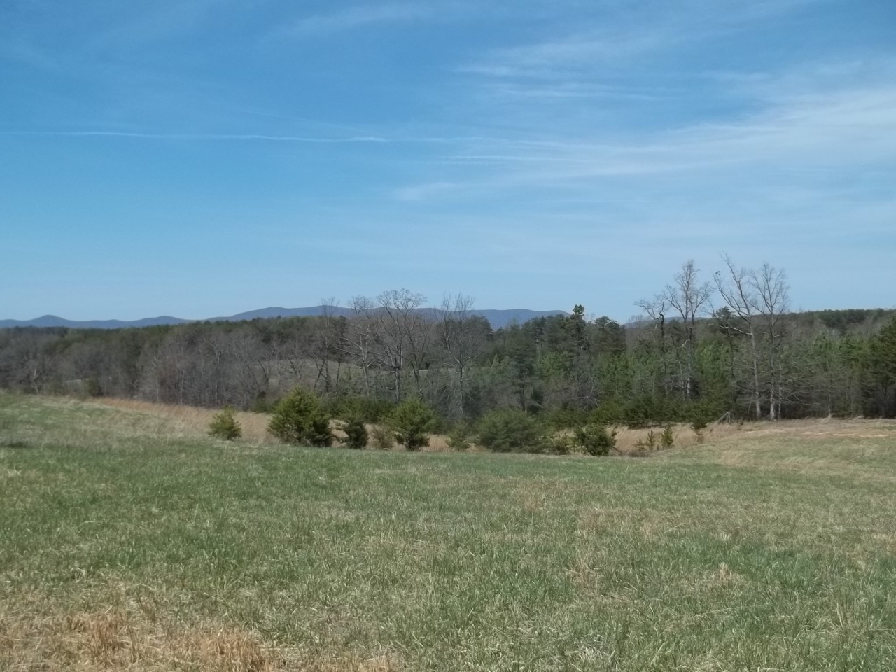 0 Berryville Road Gretna, VA 24557 - Photo 10 of 15 a view of an outdoor space