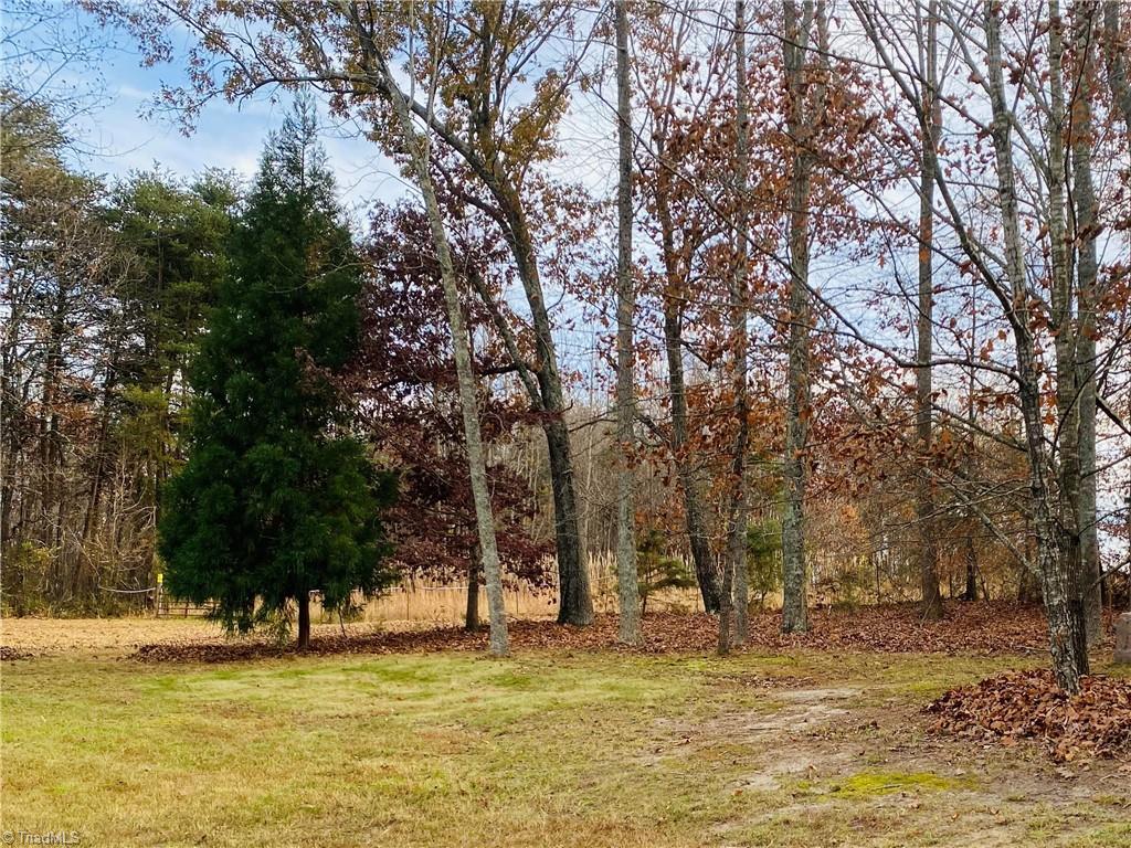 2811 Regal Road Reidsville, NC 27320 - Photo 7 of 19 Private Back Yard, partial wooded on both sides of the lot and backyard