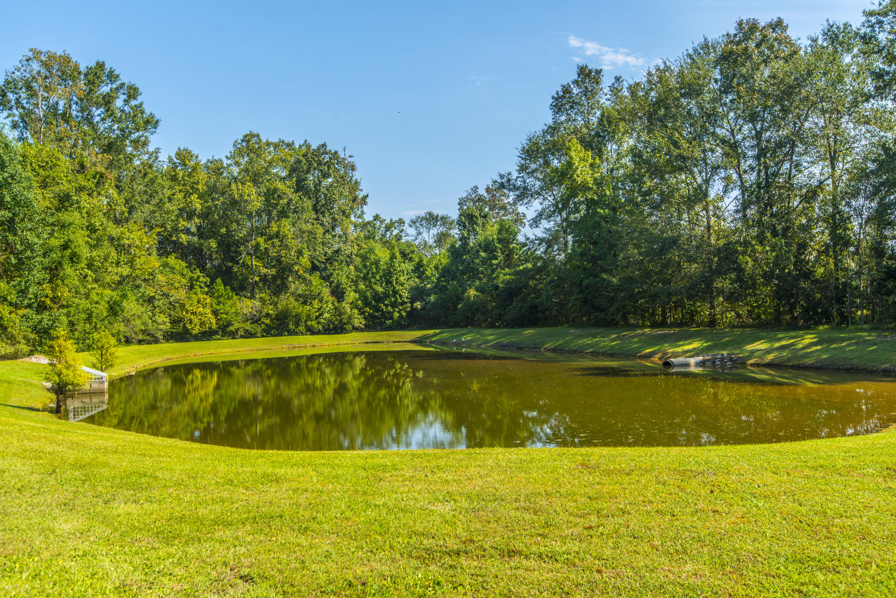 228 Island Green Road Goose Creek, SC 29445 - Photo 36 of 37 _DSC1467