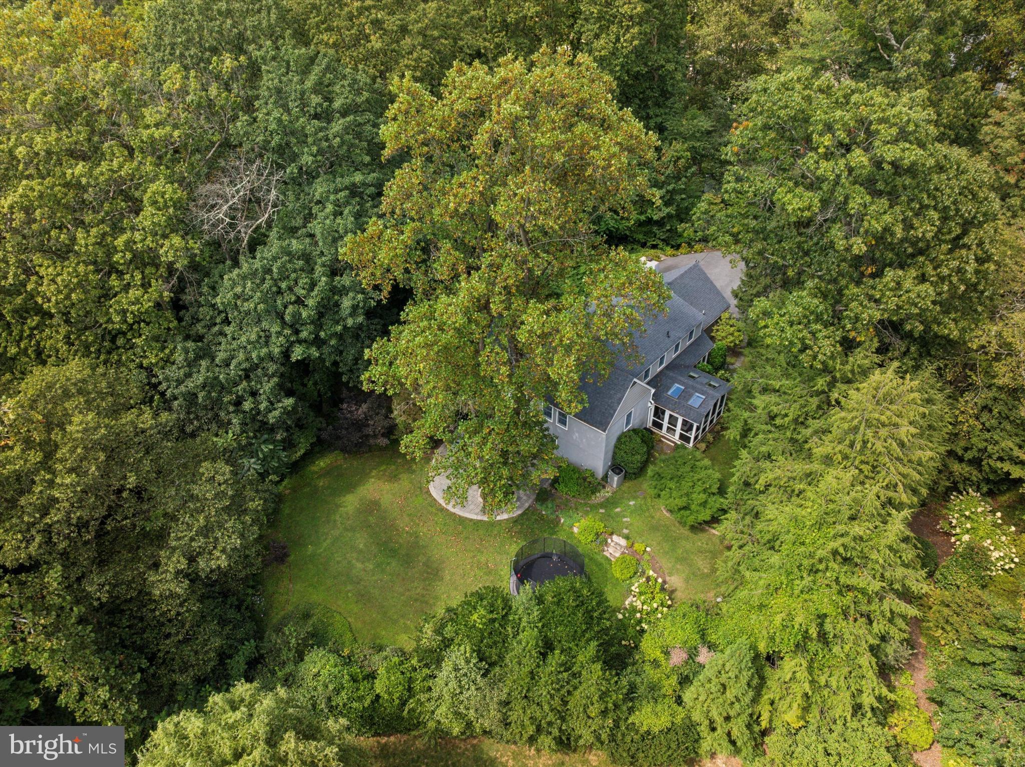 103 Deepdale Road Wayne, PA 19087 - Photo 35 of 41 a view of a yard with plants