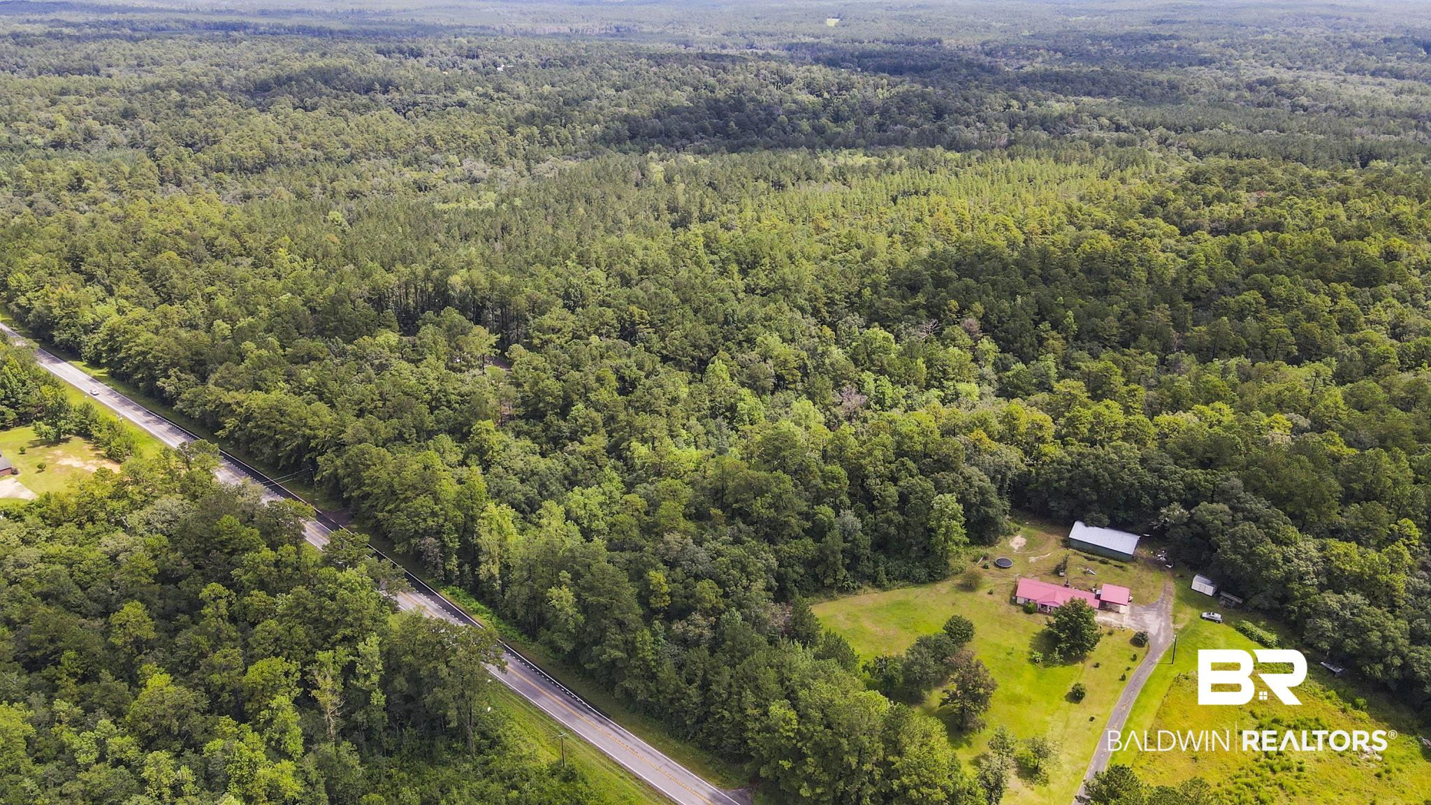 0 Mt.Pilgrim Road Eight Mile, AL 36613 - Photo 3 of 14 Drone / aerial view of a forest