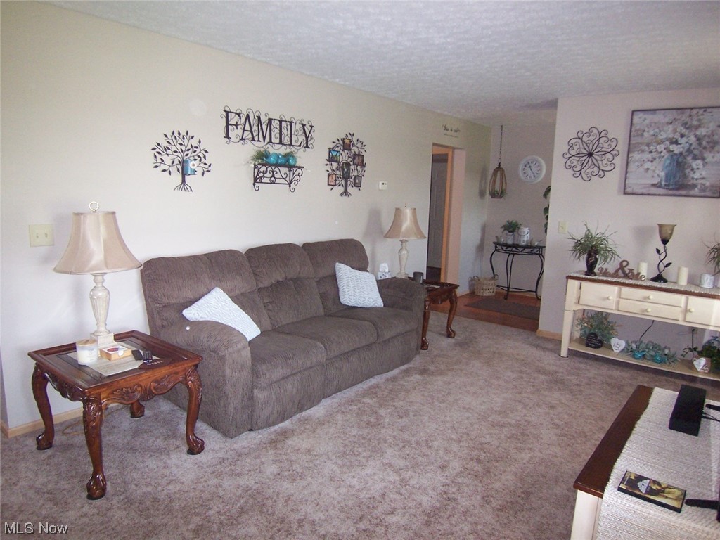 17202 Quarry Road Wellington, OH 44090 - Photo 4 of 35 Gallery Image 4