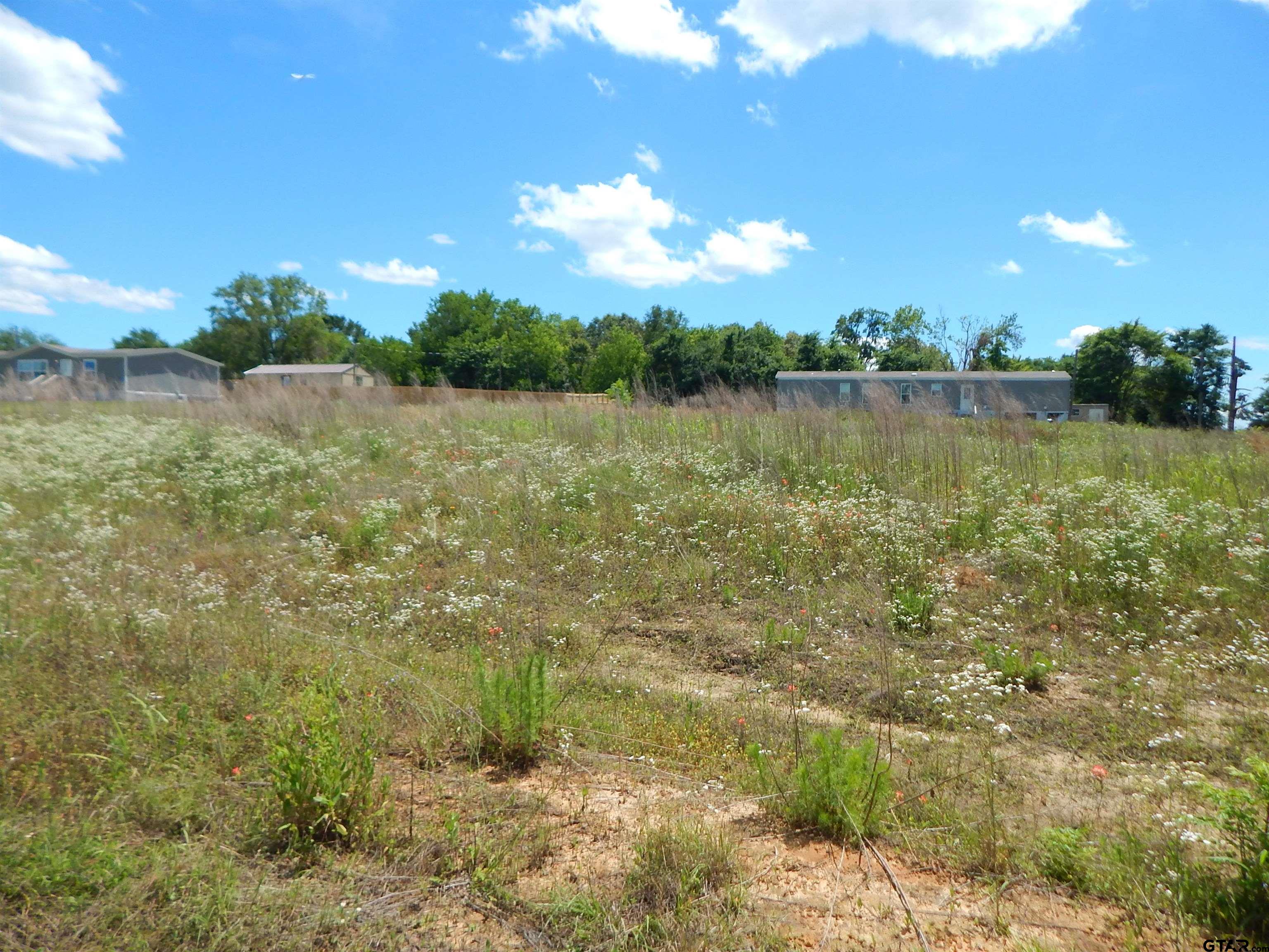 Tbd Tbd Road Gilmer, TX 75644 - Photo 3 of 7