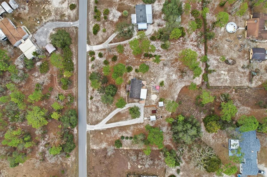 7305 South Threshold Point Homosassa, FL 34446 - Photo 42 of 46 a view of a glass door with a tree in front of it