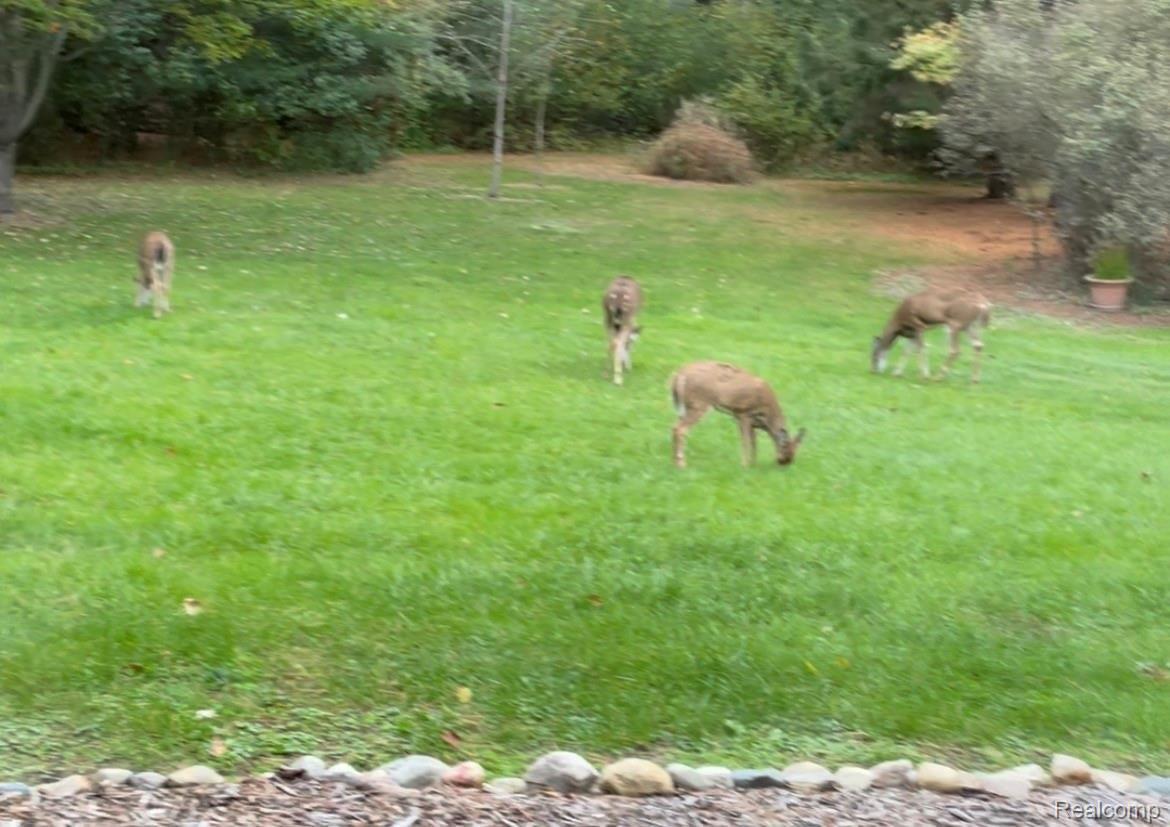 3630 Curtis Road Birch Run, MI 48415 - Photo 24 of 34 IMG_0135.jpg