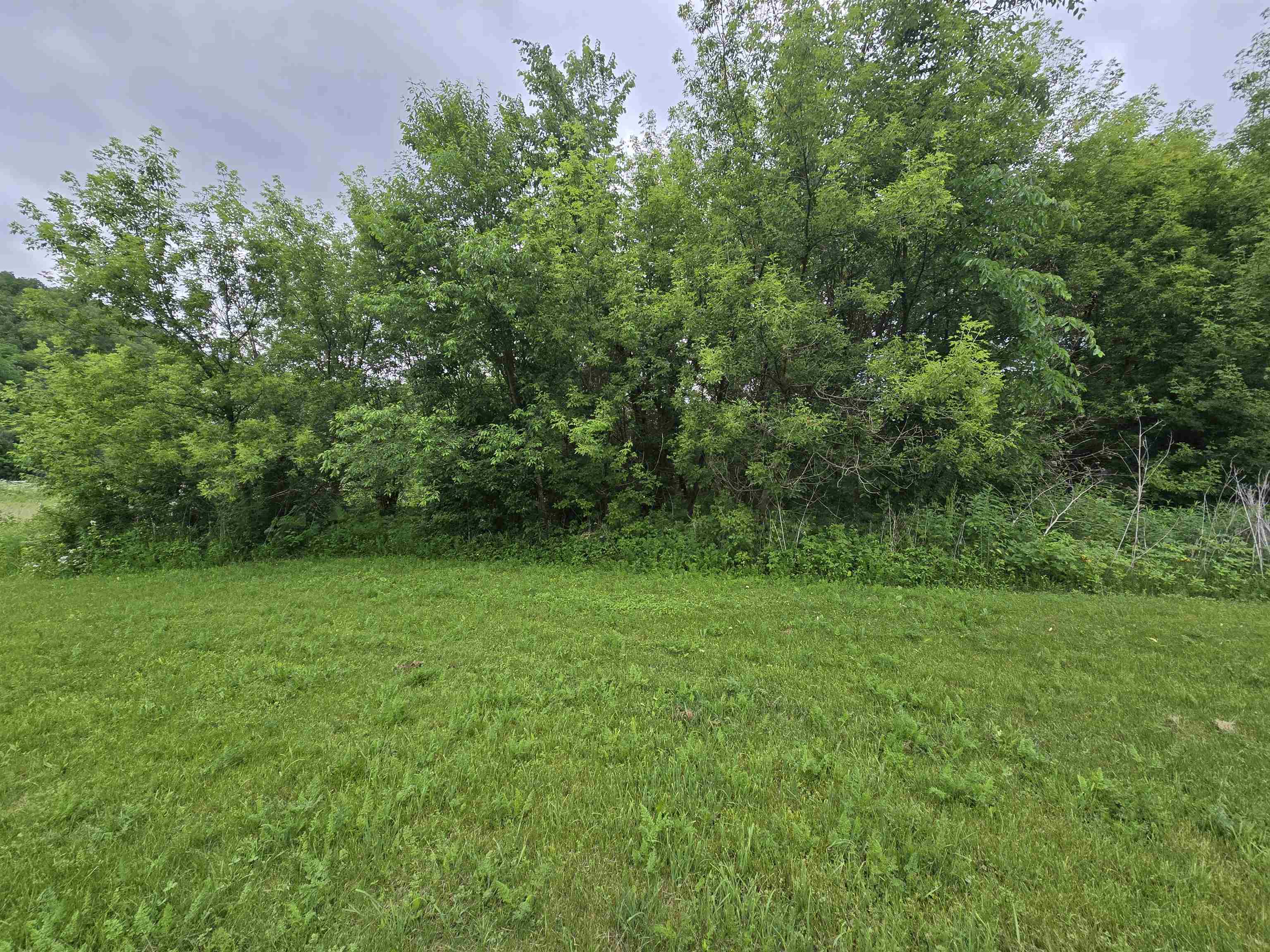 15928 Pine Tree Road Highland, WI 53543 - Photo 32 of 33