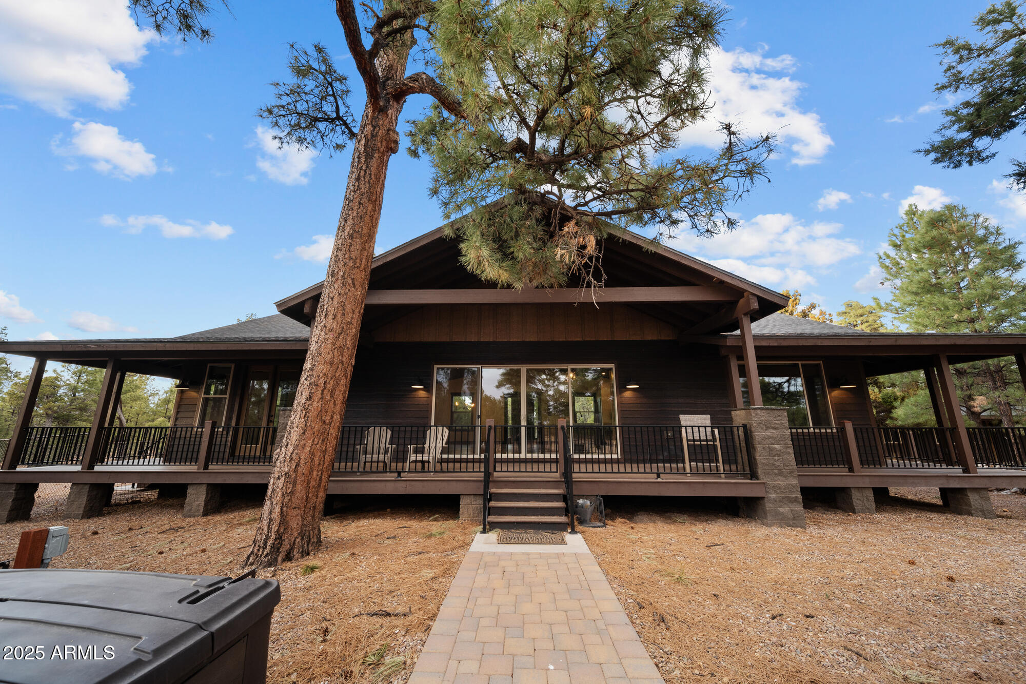 2702 Majestic Elk Road Overgaard, AZ 85933 - Photo 14 of 89 Back Porch