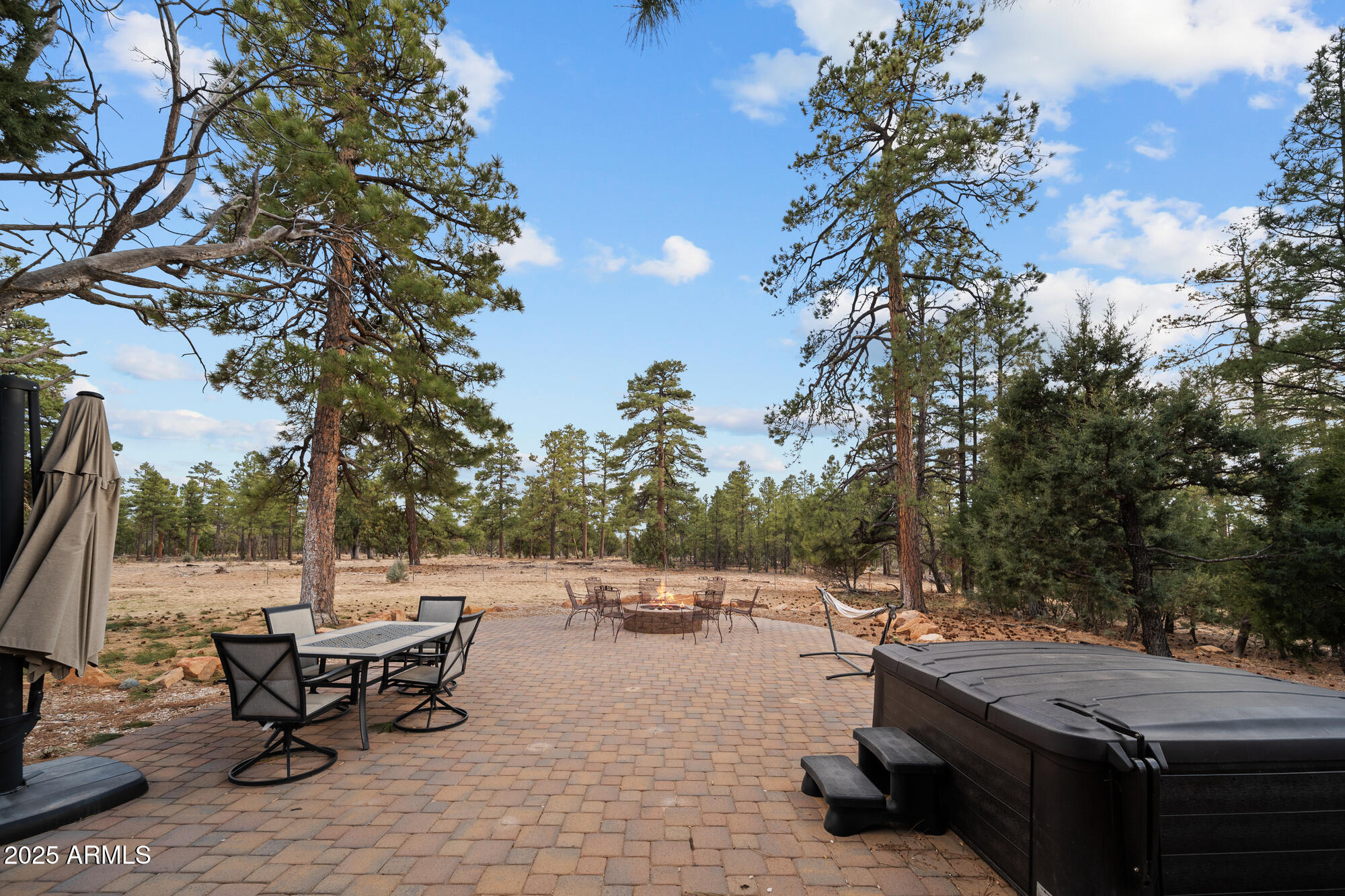 2702 Majestic Elk Road Overgaard, AZ 85933 - Photo 15 of 89 Back Patio