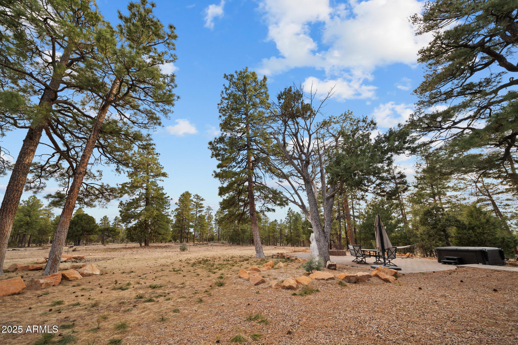 2702 Majestic Elk Road Overgaard, AZ 85933 - Photo 16 of 89 Back