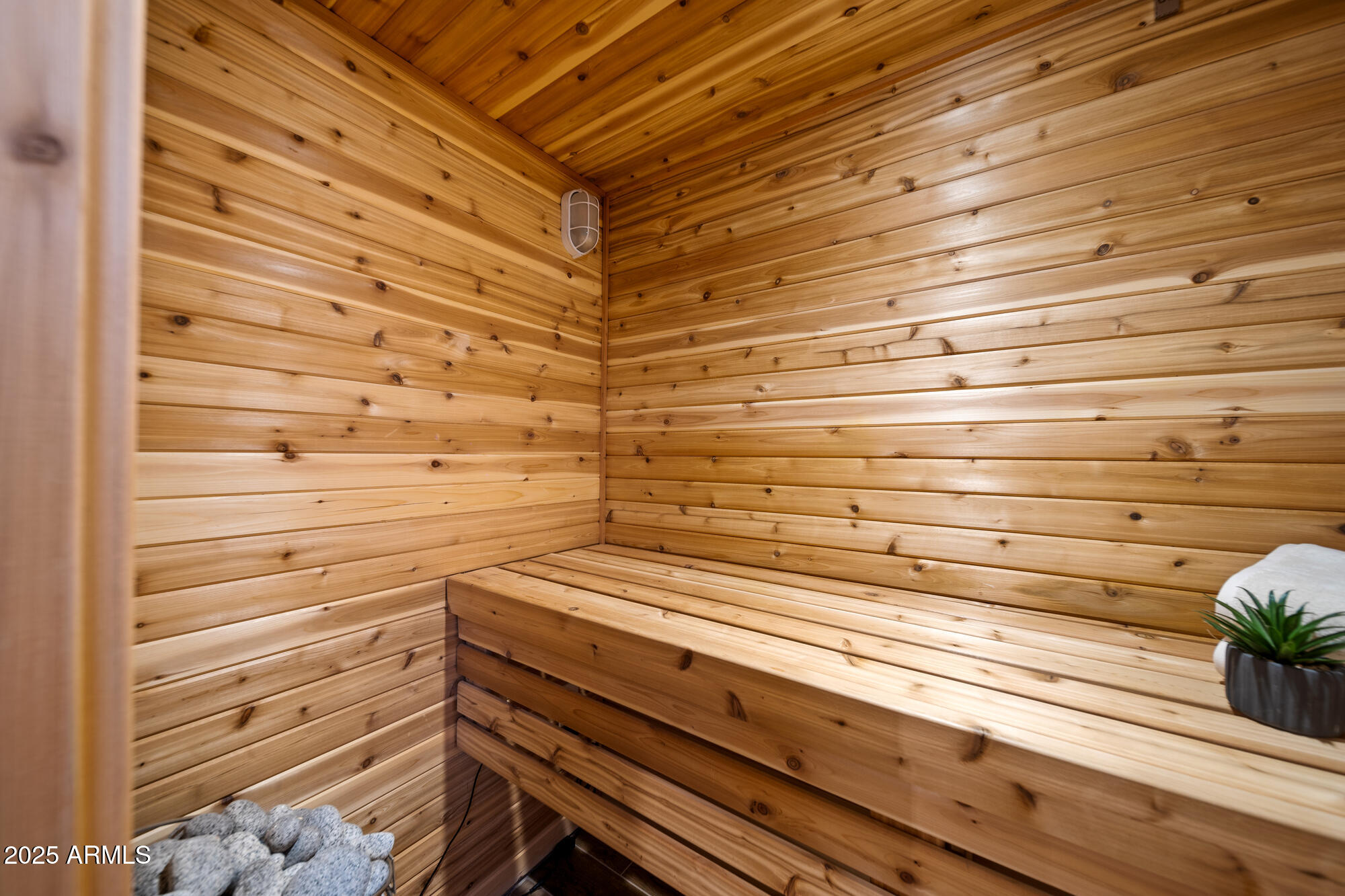 2702 Majestic Elk Road Overgaard, AZ 85933 - Photo 54 of 89 Sauna off Primary Bath