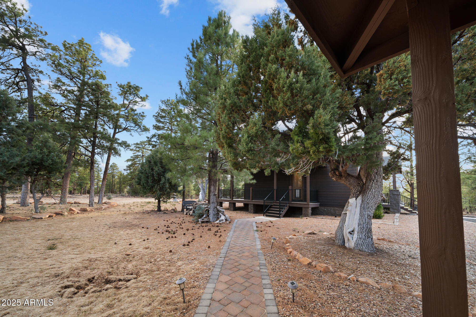2702 Majestic Elk Road Overgaard, AZ 85933 - Photo 70 of 89 Walkway