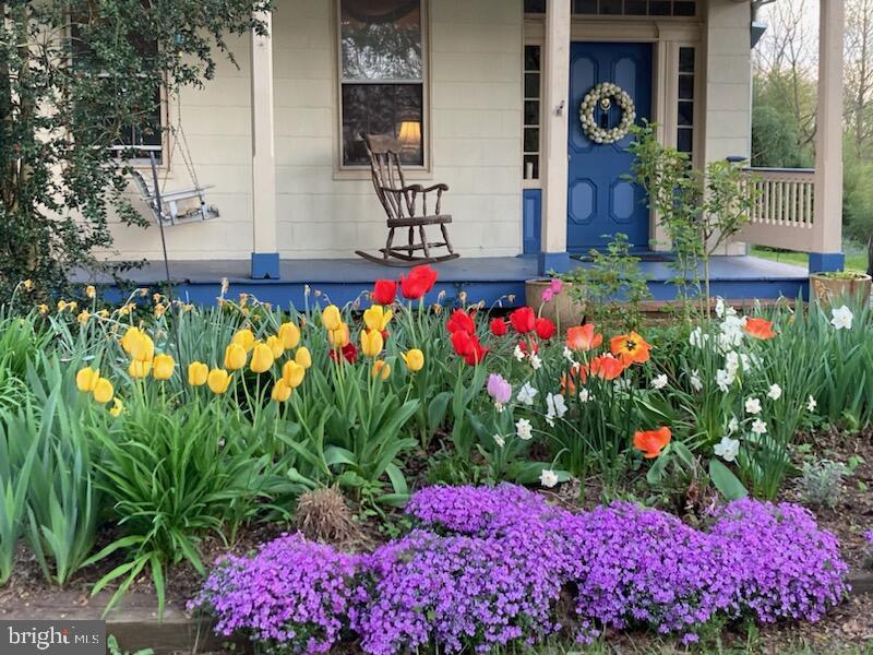 3341 Uniontown Road Westminster, MD 21158 - Photo 4 of 54 Front garden in Spring