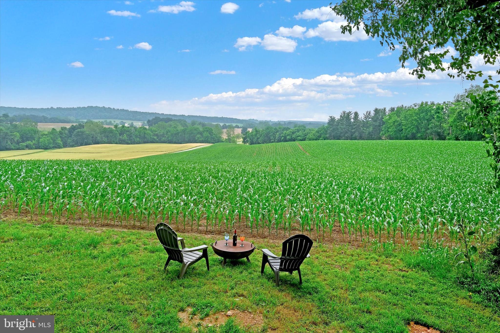 3341 Uniontown Road Westminster, MD 21158 - Photo 43 of 54 Please sit here when you visit