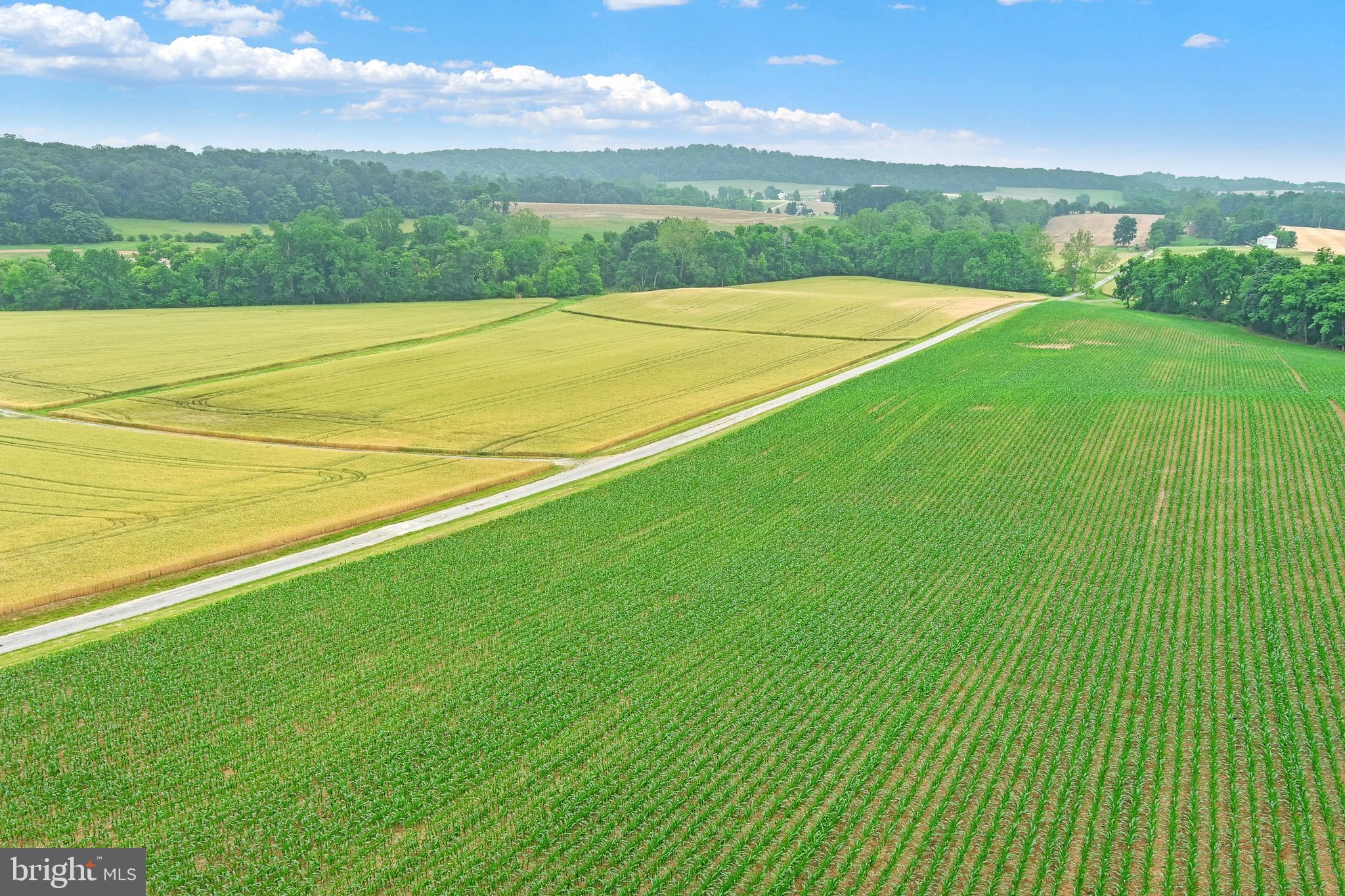 3341 Uniontown Road Westminster, MD 21158 - Photo 46 of 54 Agricultural Preserve Land abuts property
