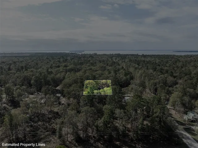 $1,500 | 136 Warbler Lane, Livingston, TX 77351