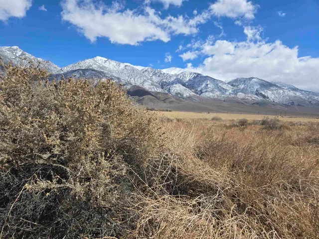 a view of a lake with a mountain