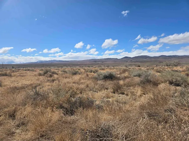a view of a backyard of the house
