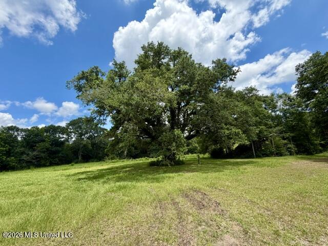 18 Easley Fortenberry Road Tylertown, MS 39667 - Photo 5 of 35 IMG_0587
