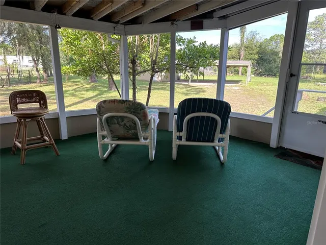 a view of a yard with a trees