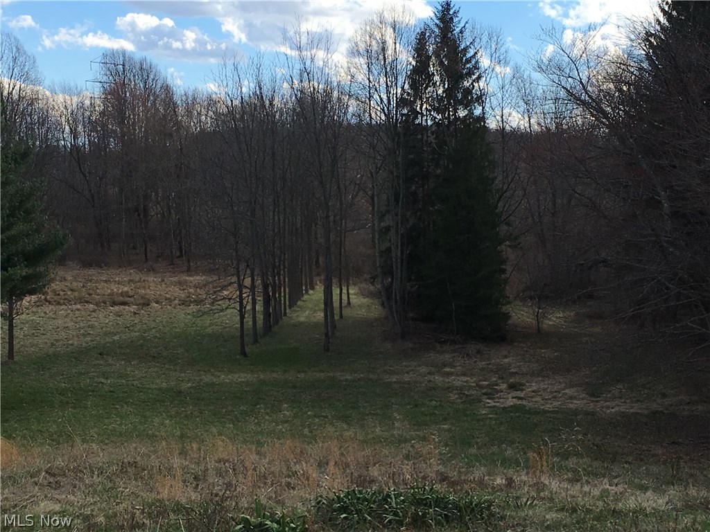 1258 Randolph Road Mogadore, OH 44260 - Photo 29 of 33 Gallery Image 29