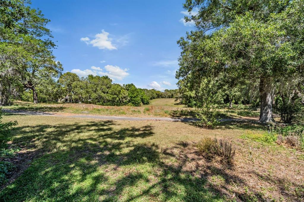 1091 Tournament Drive Spring Hill, FL 34608 - Photo 21 of 51