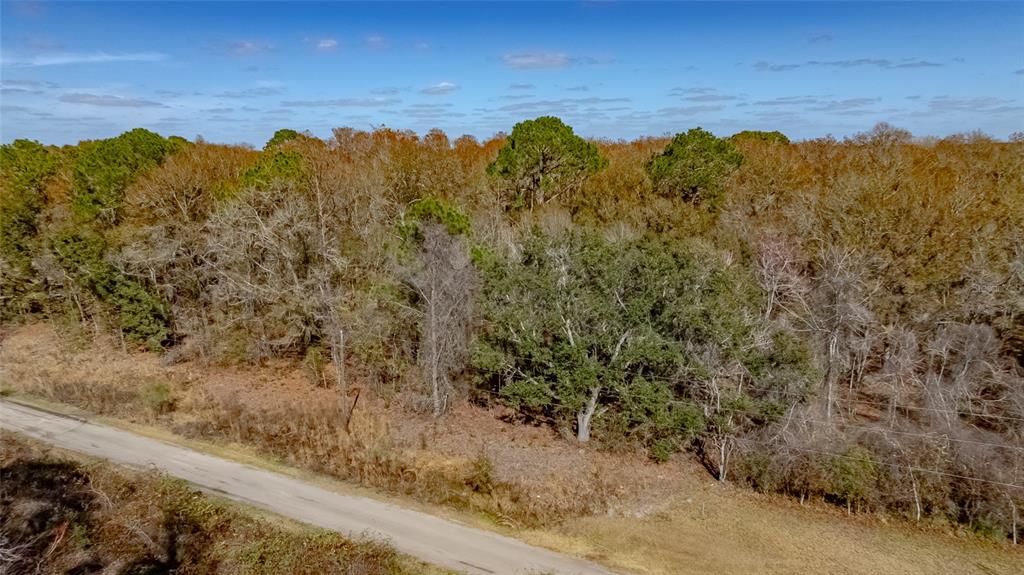 Southwest 136th Street Starke, FL 32091 - Photo 2 of 16 a view of a dry yard
