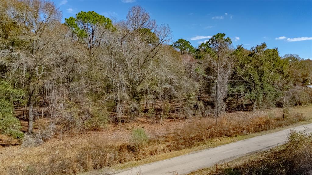 Southwest 136th Street Starke, FL 32091 - Photo 3 of 16 a view of a dry yard