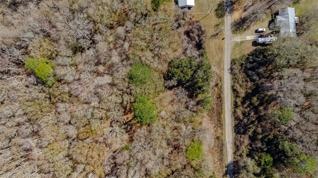 Southwest 136th Street Starke, FL 32091 - Photo 4 of 16 a view of a forest with a tree