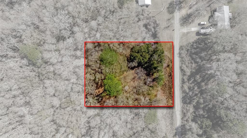 Southwest 136th Street Starke, FL 32091 - Photo 5 of 16 a view of a tree in front of house