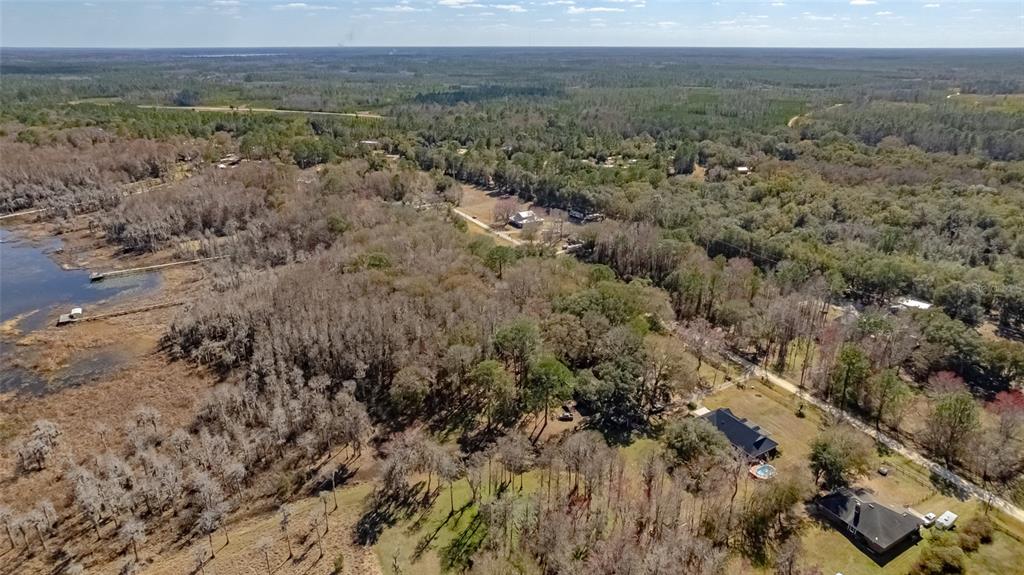 Southwest 136th Street Starke, FL 32091 - Photo 8 of 16 a view of a forest with trees in the background