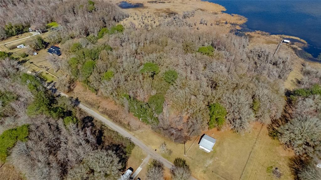 Southwest 136th Street Starke, FL 32091 - Photo 10 of 16 a view of a tree in a yard